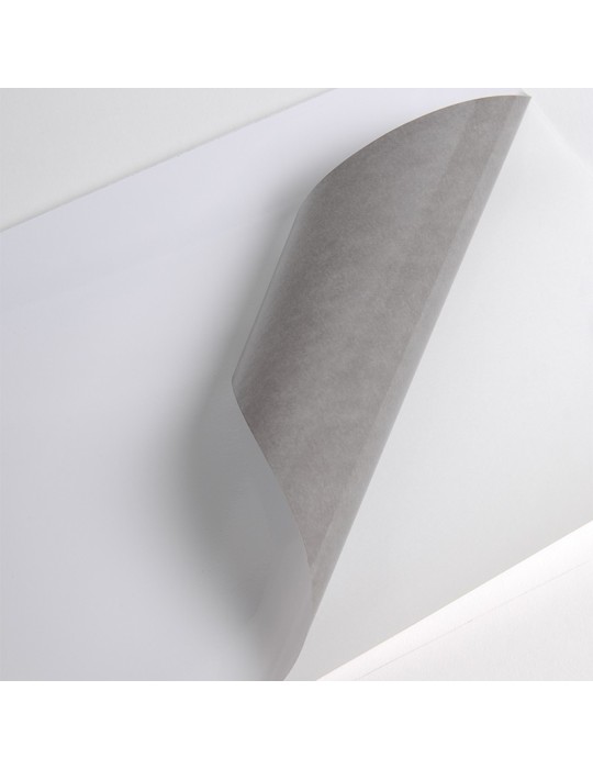 V300WG1 - Blanc Brillant adh permanent gris